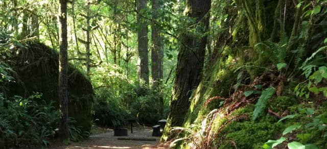 Picture of tent or RV/trailer campsite: length of parking pad = 53 feet.