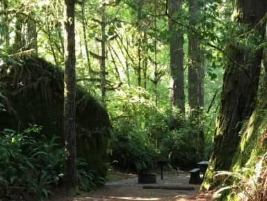 Picture of tent or RV/trailer campsite: length of parking pad = 53 feet.