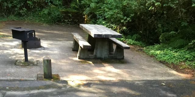 Picture of tent or RV/trailer campsite: length of parking pad = 30 feet.