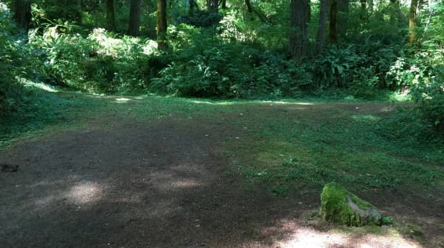 Picture of tent pad.
