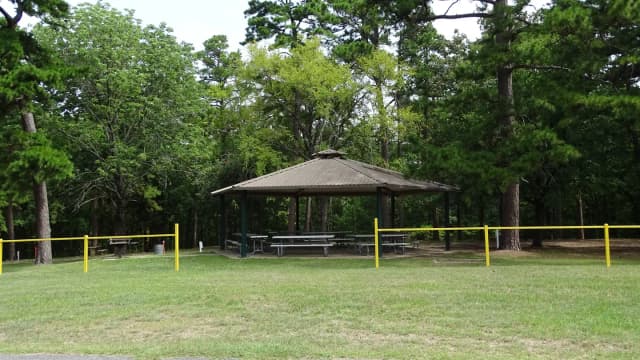 Group Camp