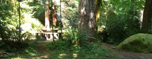 Picture of tent or RV/trailer campsite: length of parking pad = 43 feet.