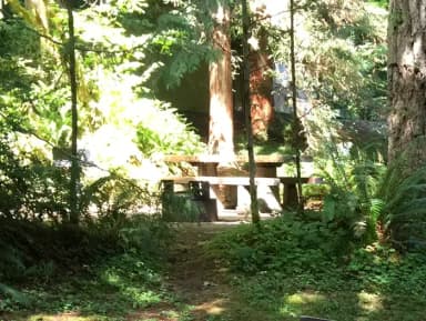 Picture of tent or RV/trailer campsite: length of parking pad = 43 feet.