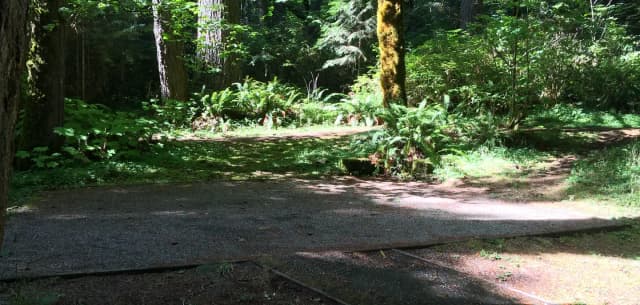 Picture of tent pad.