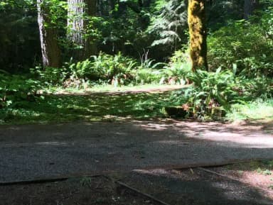 Picture of tent pad.