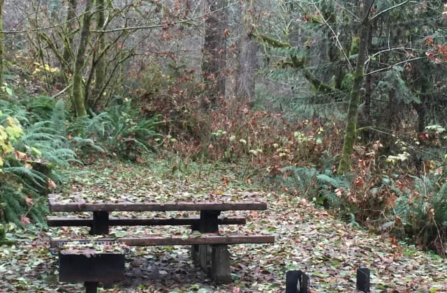 Picture of picnic table, fire ring and BBQ grill.