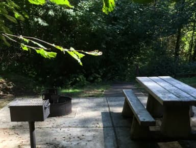 Picture of picnic table, fire ring and BBQ grill.