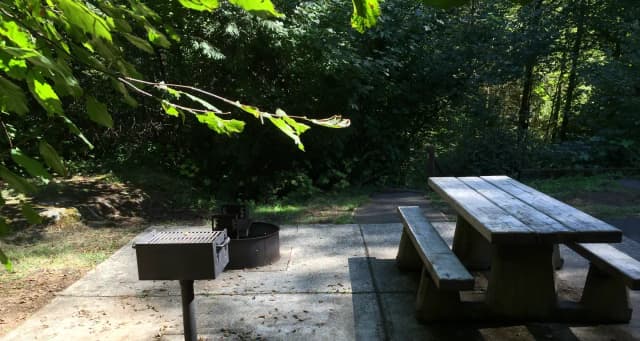 Picture of picnic table, fire ring and BBQ grill.