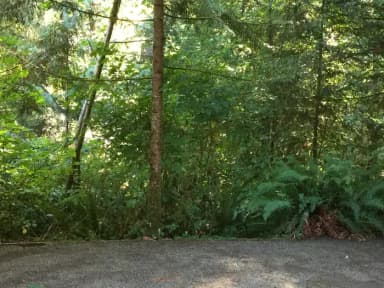 Picture of tent pad.