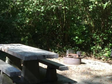 Picture of picnic table, fire ring and BBQ grill.