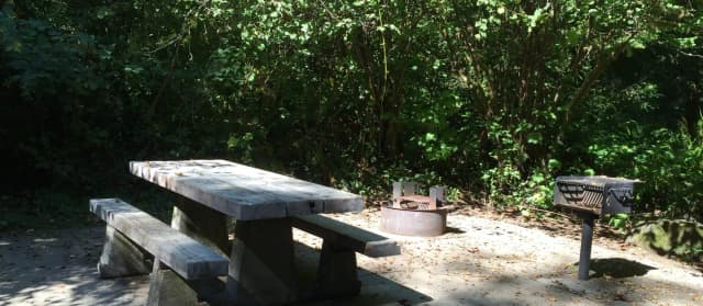 Picture of picnic table, fire ring and BBQ grill.
