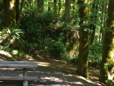Picture of picnic table, fire ring and BBQ grill.