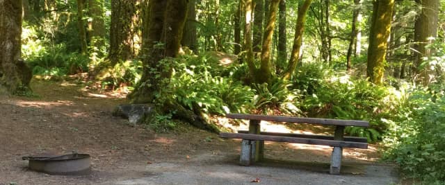 Picture of picnic table, fire ring and BBQ grill.