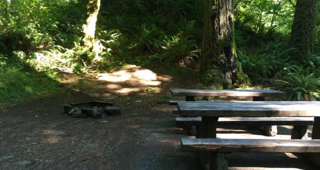Picture of picnic table, fire ring and BBQ grill.