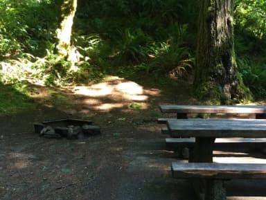 Picture of picnic table, fire ring and BBQ grill.