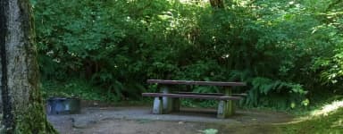 Picture of picnic table, fire ring and BBQ grill.