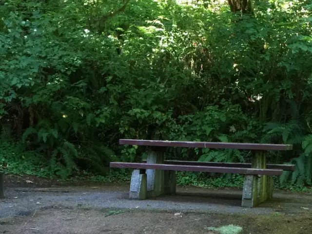 Picture of picnic table, fire ring and BBQ grill.