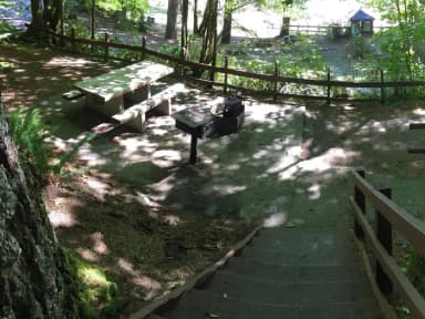 Picture of picnic table, fire ring, BBQ grill and tent pad.