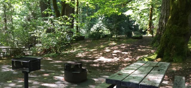 Picture of picnic table, fire ring, BBQ grill and tent pad.
