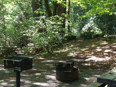 Picture of picnic table, fire ring, BBQ grill and tent pad.