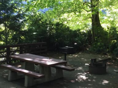 Picture of picnic table, fire ring and BBQ grill.