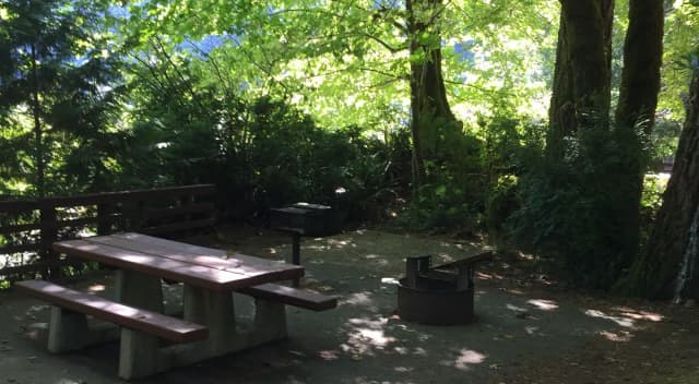 Picture of picnic table, fire ring and BBQ grill.