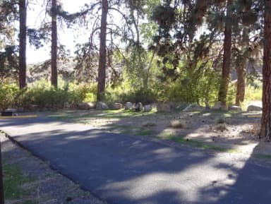 Parking pad and fire ring at Big Pines Campsite #3