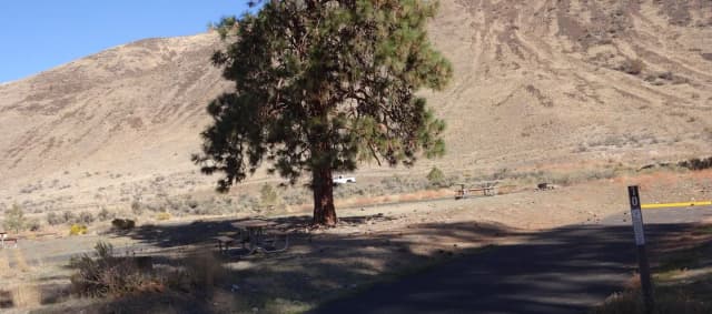Parking pad, picnic table and fire ring at Big Pines Campsite #10