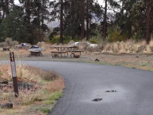 Parking pad, picnic table and fire ring at Big Pines Campsite #31