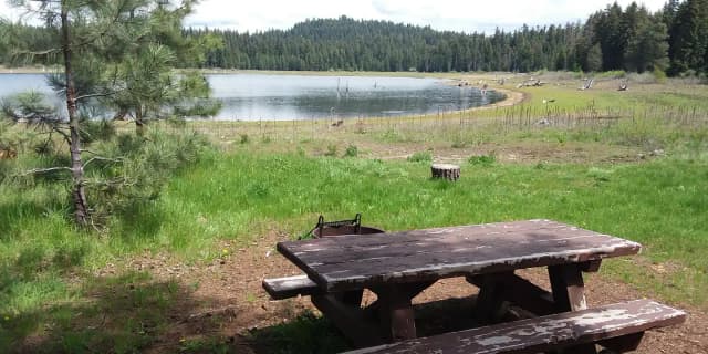 Campsite Overview