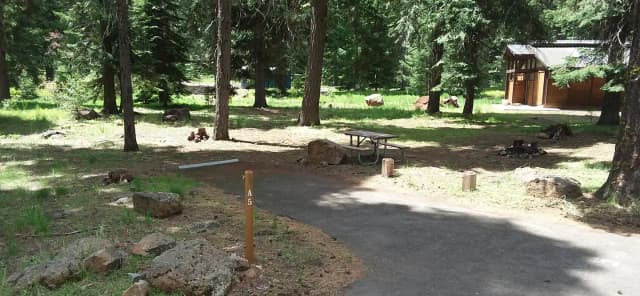 Campsite A5- Hyatt Lake