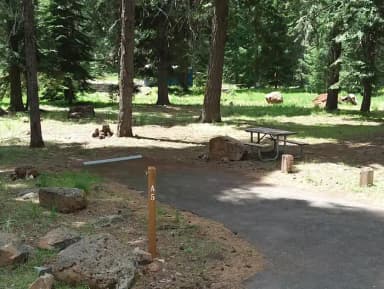 Campsite Overview