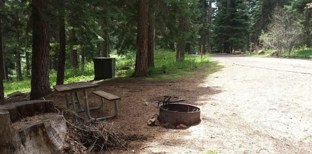 Campsite A8- Hyatt Lake