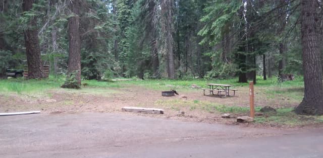 Campsite A9- Hyatt Lake