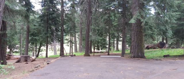 Campsite A10- Hyatt Lake