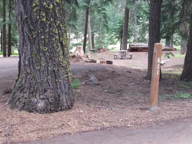 Campsite Overview