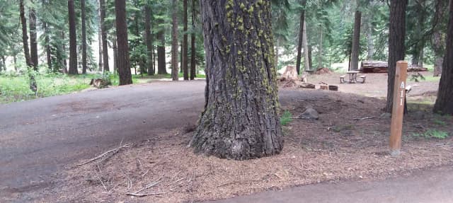 Campsite A11- Hyatt Lake