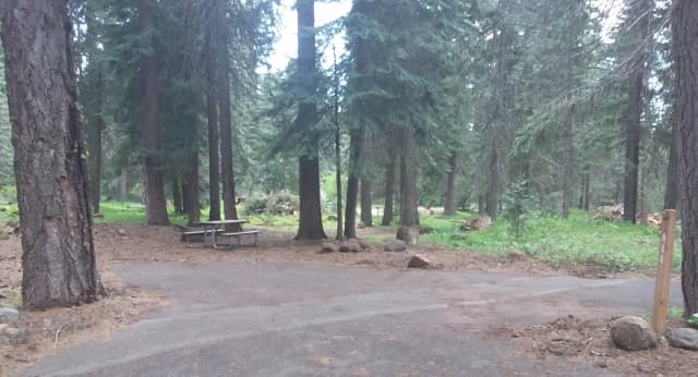 Campsite A14- Hyatt Lake