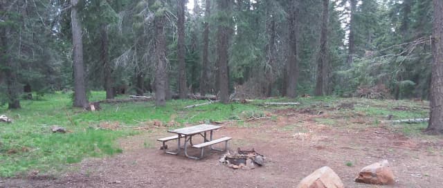 Campsite B17- Hyatt Lake