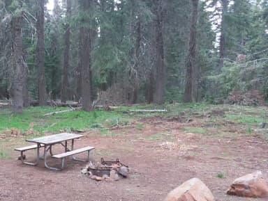 LOOP B · Site 17 at Hyatt Lake Recreation Area