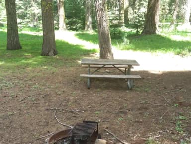 Campsite Overview