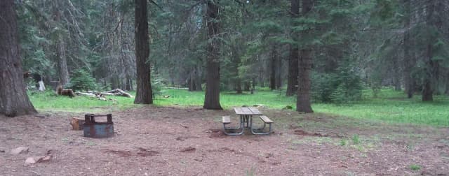 Campsite B22- Hyatt Lake