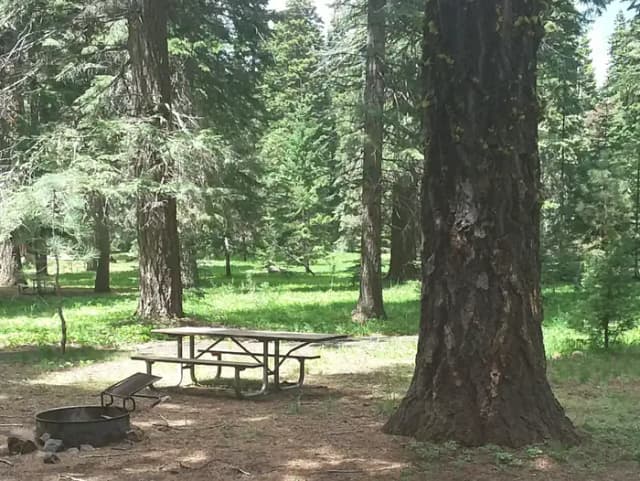 Campsite B22- Hyatt Lake