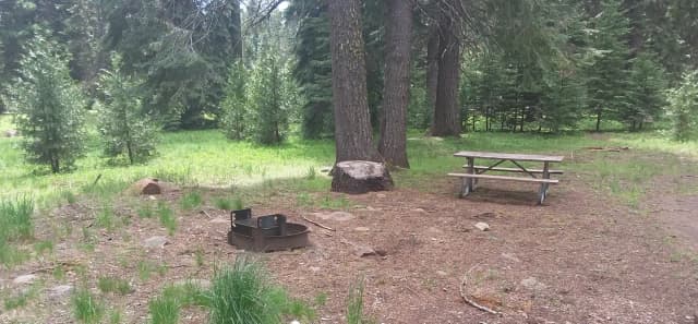 Campsite B26- Hyatt Lake