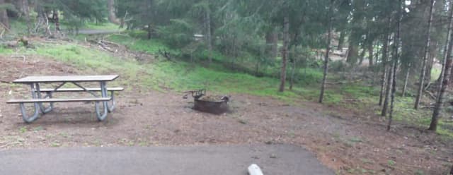Campsite C29- Hyatt Lake