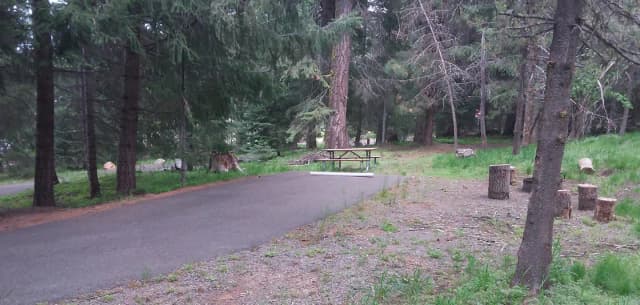 Campsite C30- Hyatt Lake