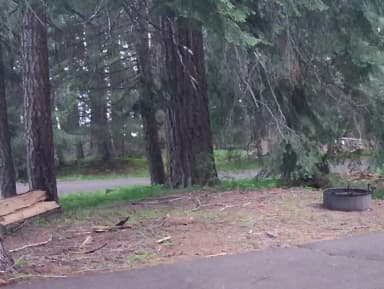 View from Side of Campsite