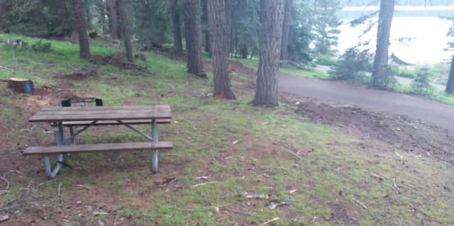 Campsite C33- Hyatt Lake