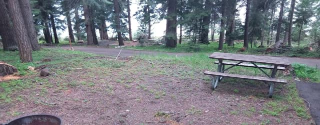 Campsite Overview