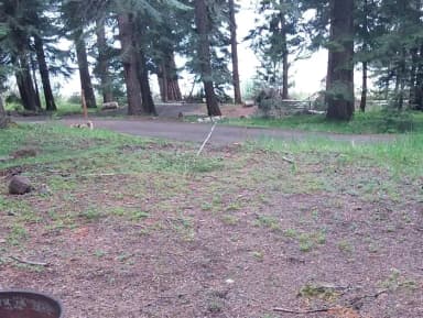 Campsite Overview